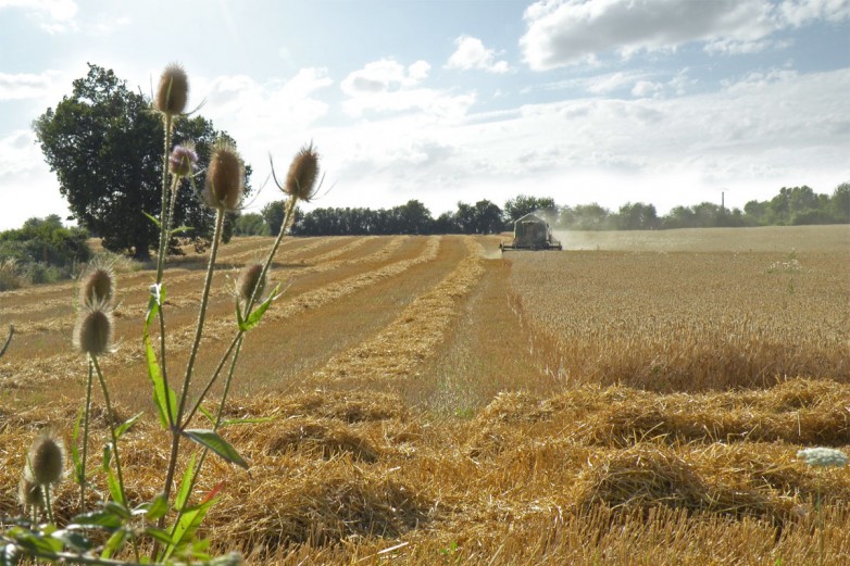 Les moissons