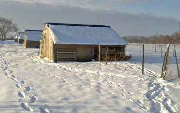 Sous la neige en hiver 2012